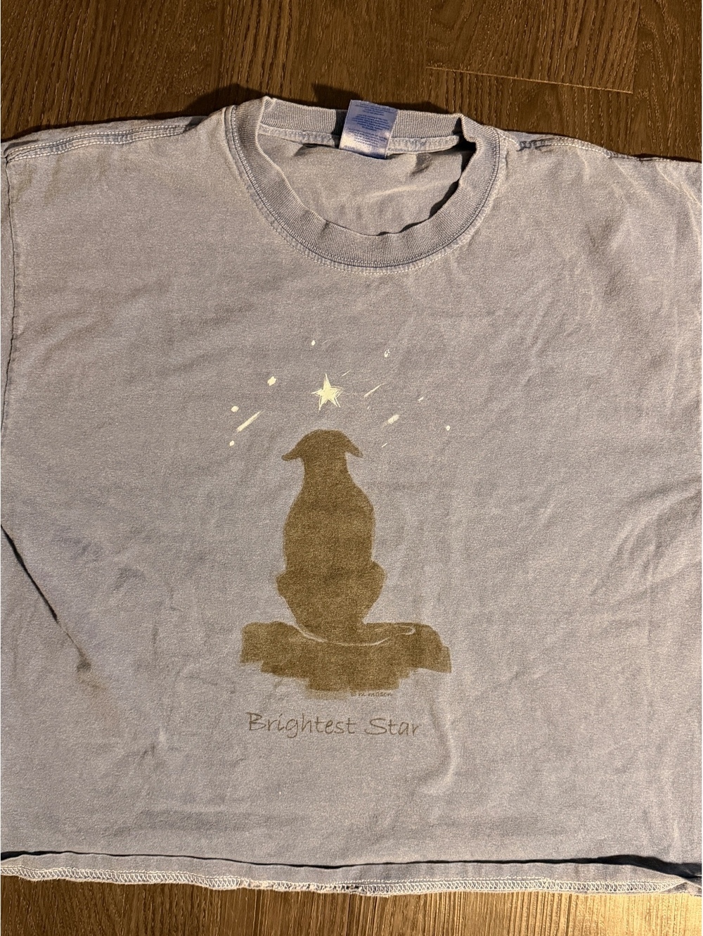 Vintage Y2K R.A. Mason Brightest Star Dog T-Shirt L